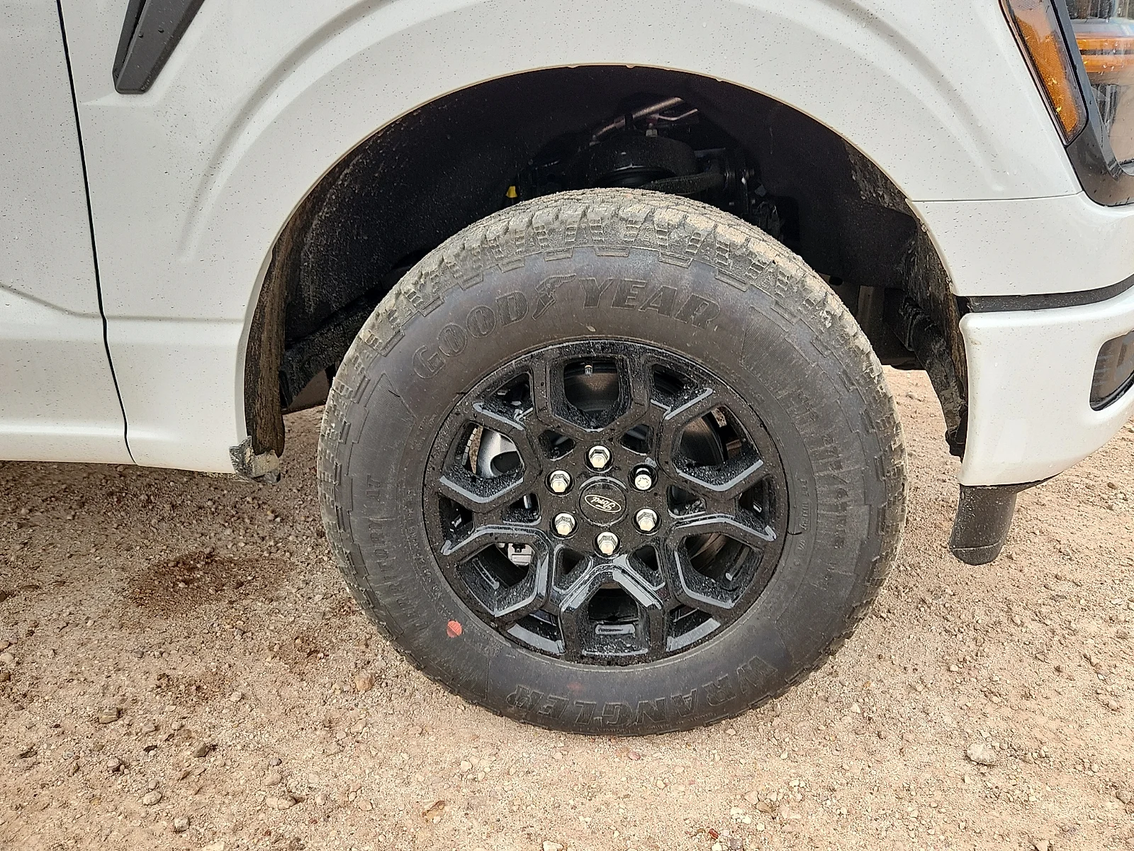 New 2026 Oxford White Ford STX image 9