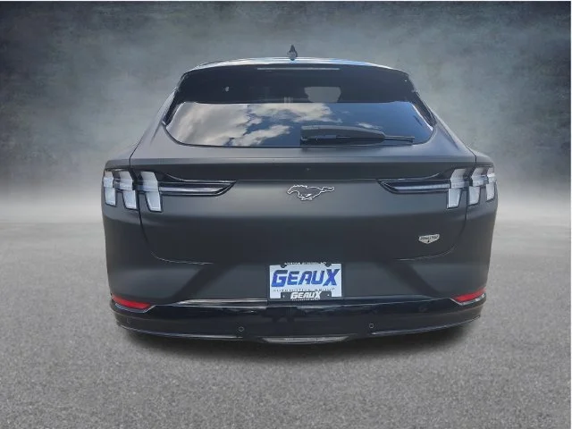 Used 2023 Blue Ford California Route 1 image 6