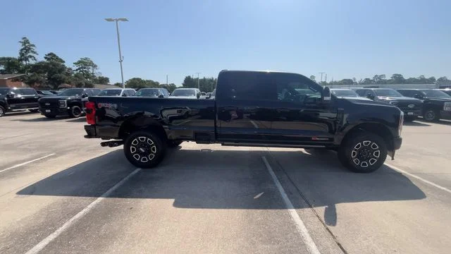New 2026 Agate Black Metallic Ford Platinum image 12