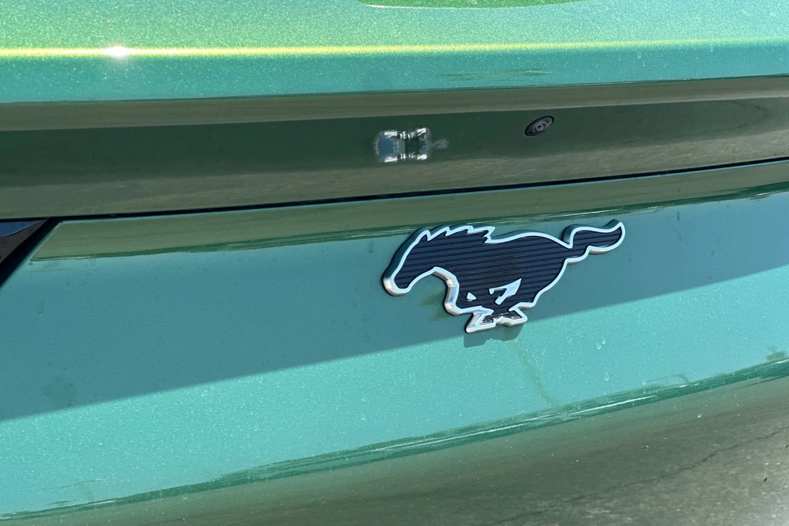 New 2026 Eruption Green Metallic Ford Select image 26