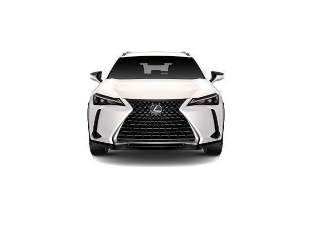 2025 Lexus UX - Photo 24