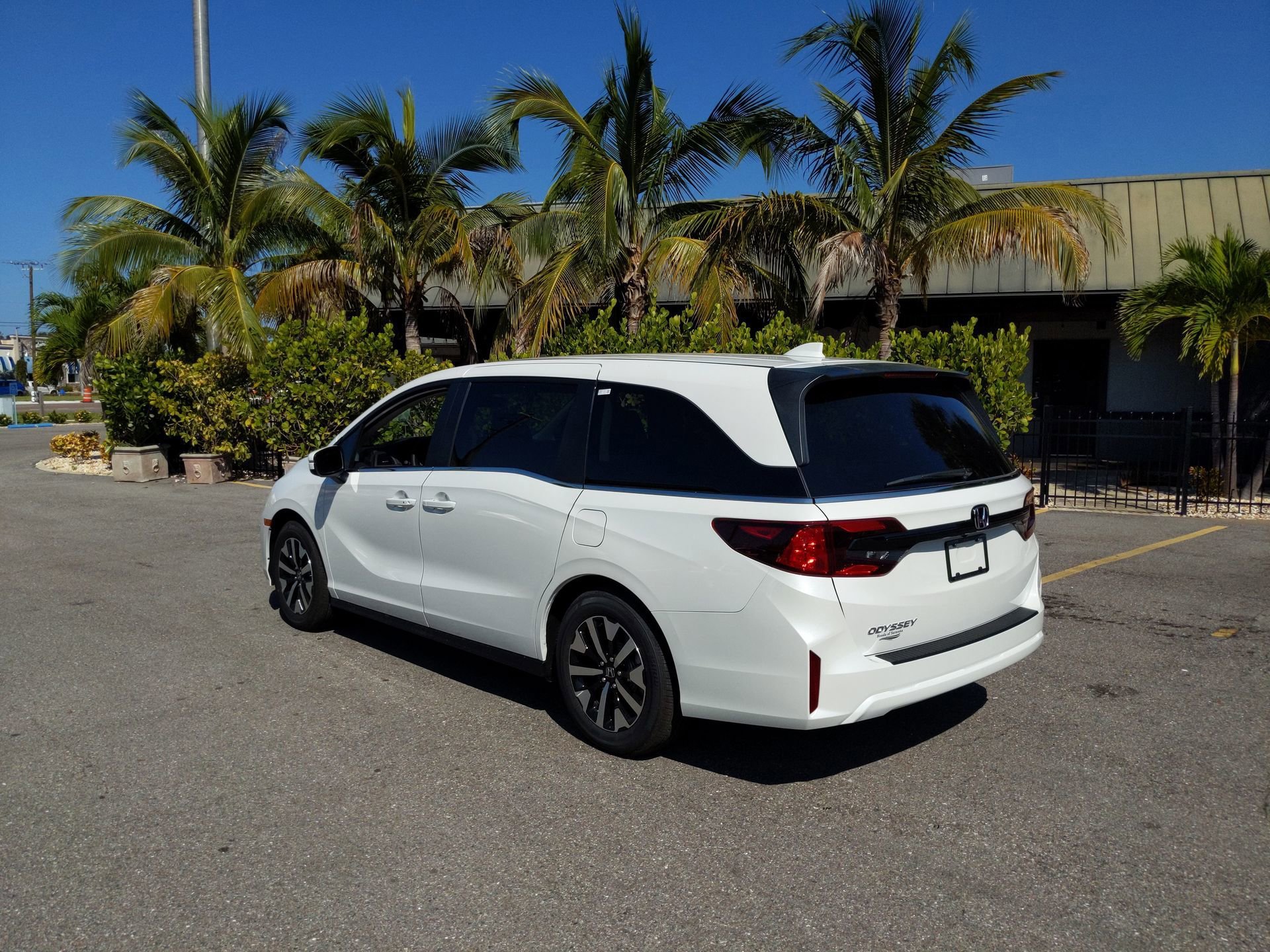New 2026 Platinum White Pearl Honda EX-L image 8