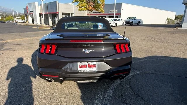 Used 2024 Gray Ford EcoBoost Premium image 5