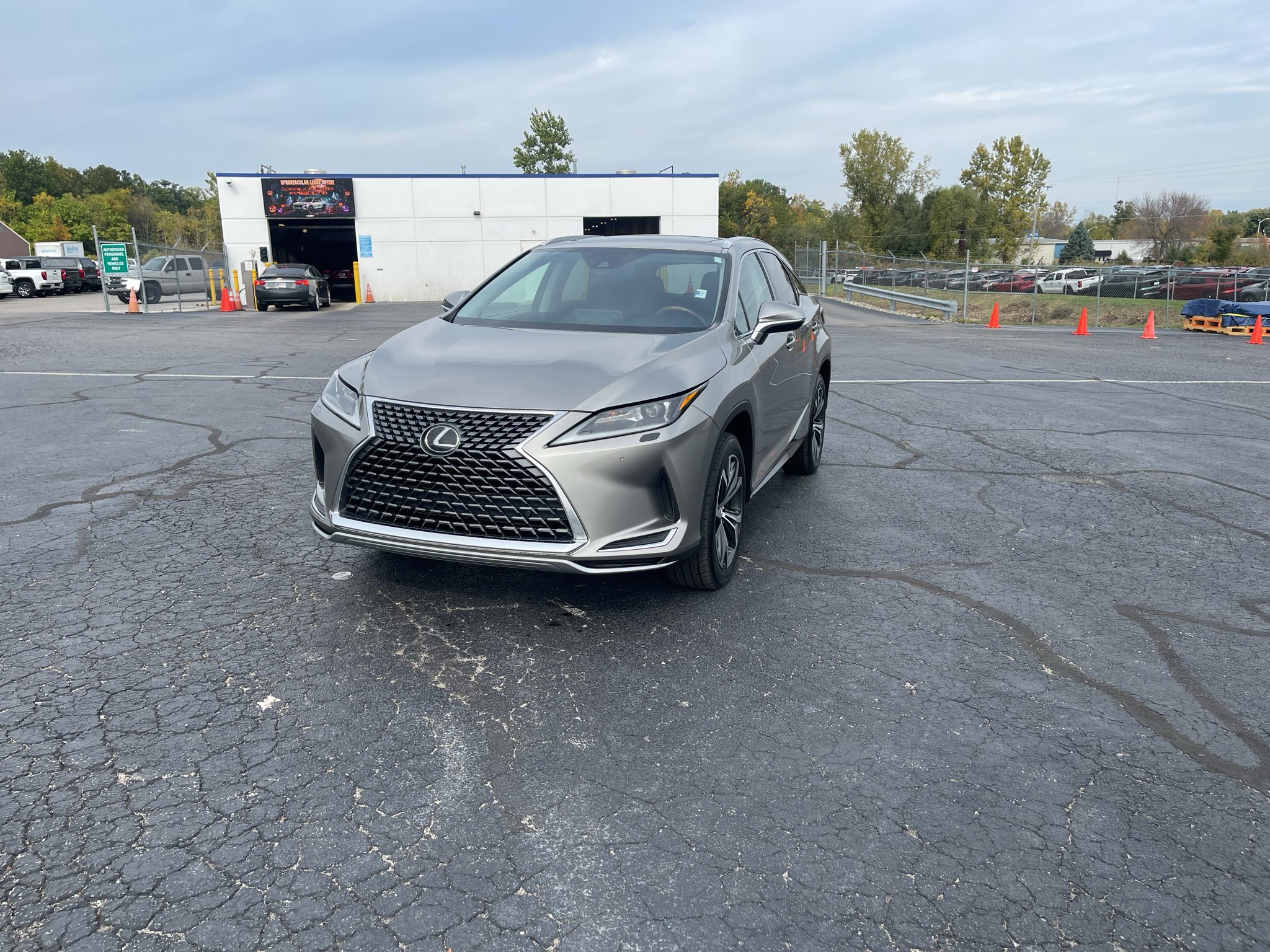 2020 Lexus RX