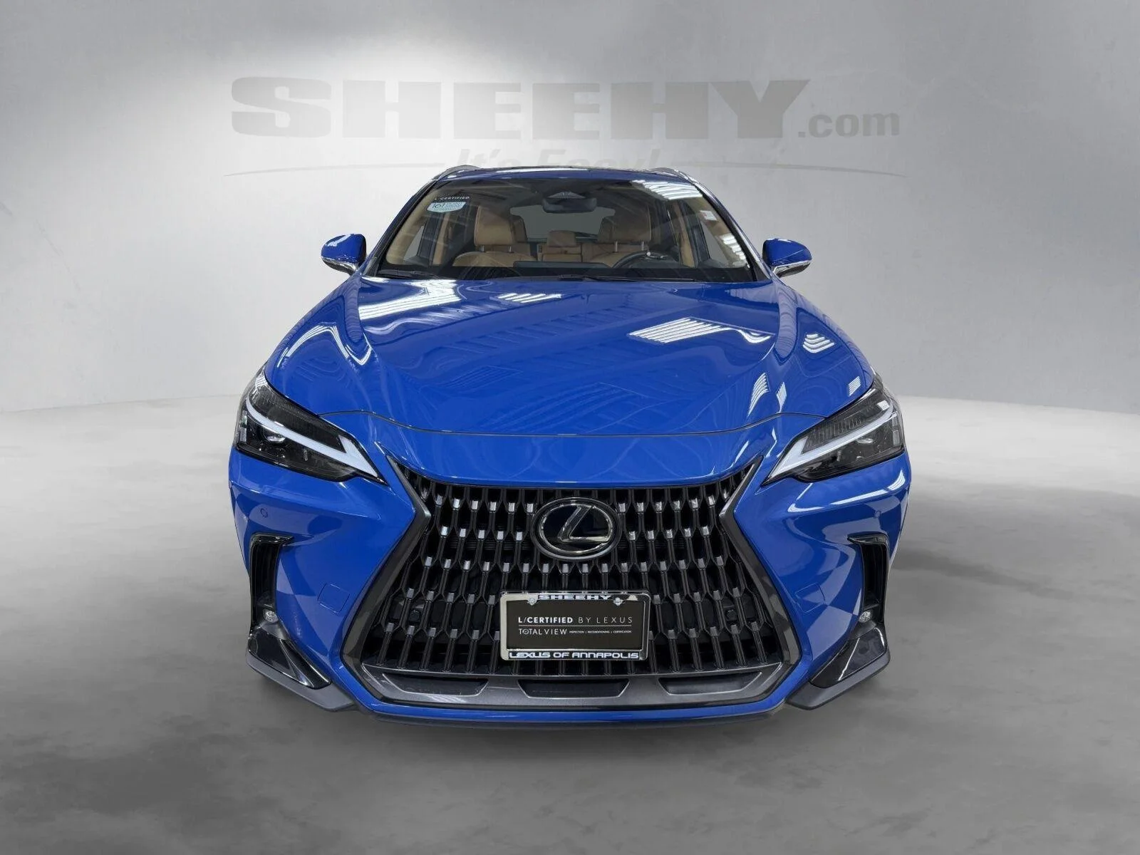 Used 2024 Grecian Water Lexus NX 350h Premium image 19