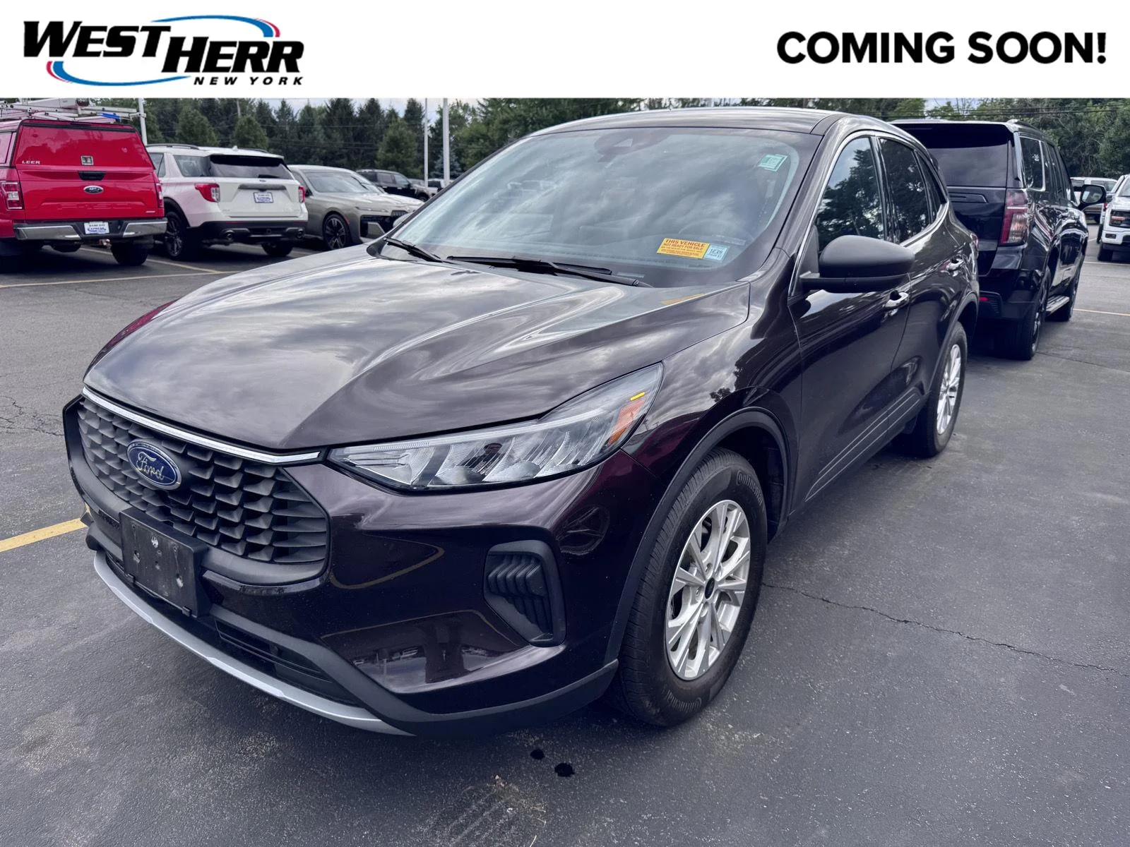 Used 2023 Cinnabar Red Ford Active image 1