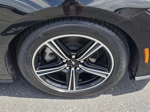 Used 2024 Black Ford EcoBoost Premium image 17