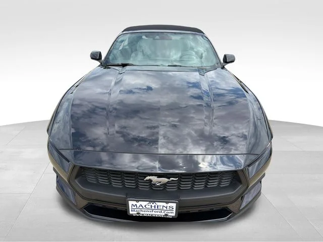 Used 2024 Black Ford EcoBoost Premium image 12