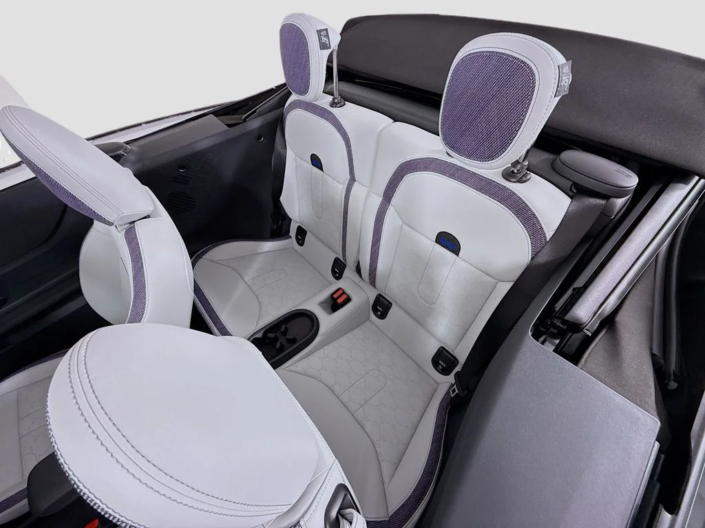 New 2026 Black MINI  image 20
