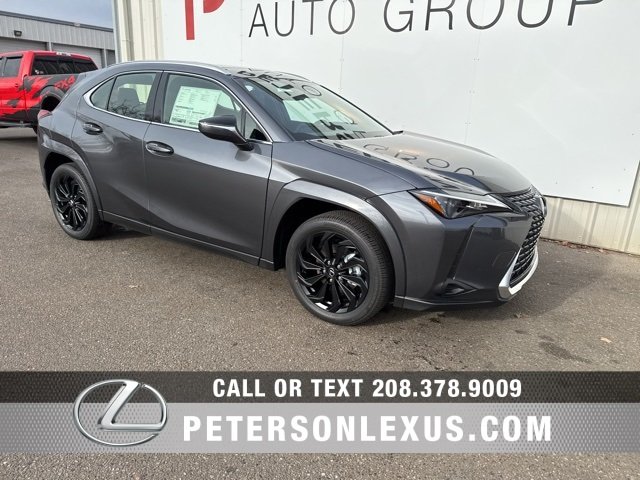 2025 Lexus UX Hybrid 300h Premium