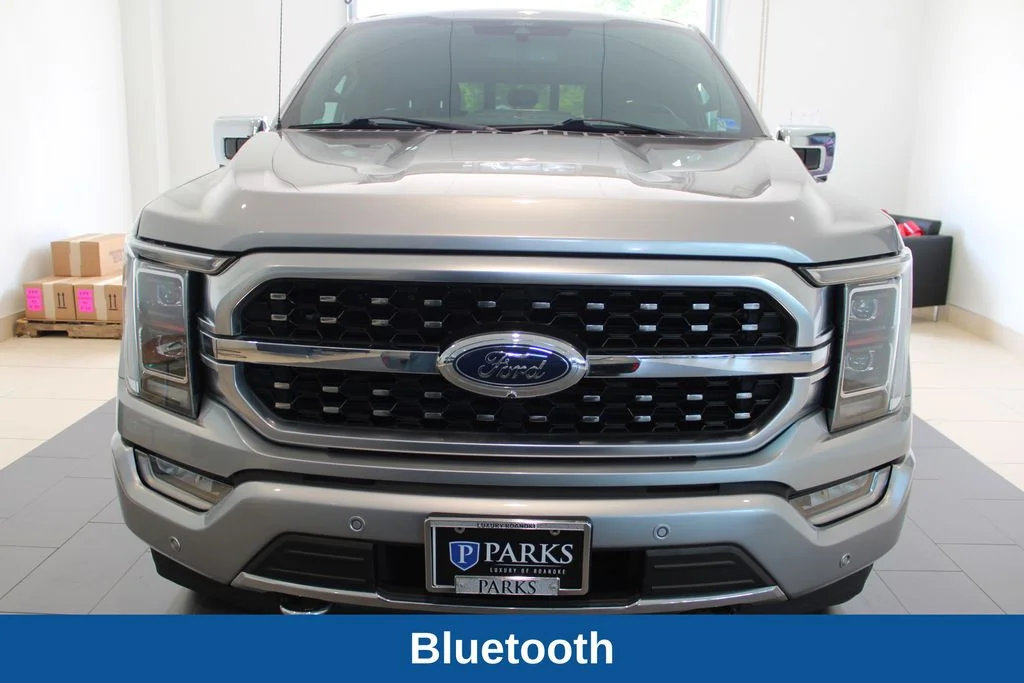 Used 2021 Silver Ford Platinum image 14
