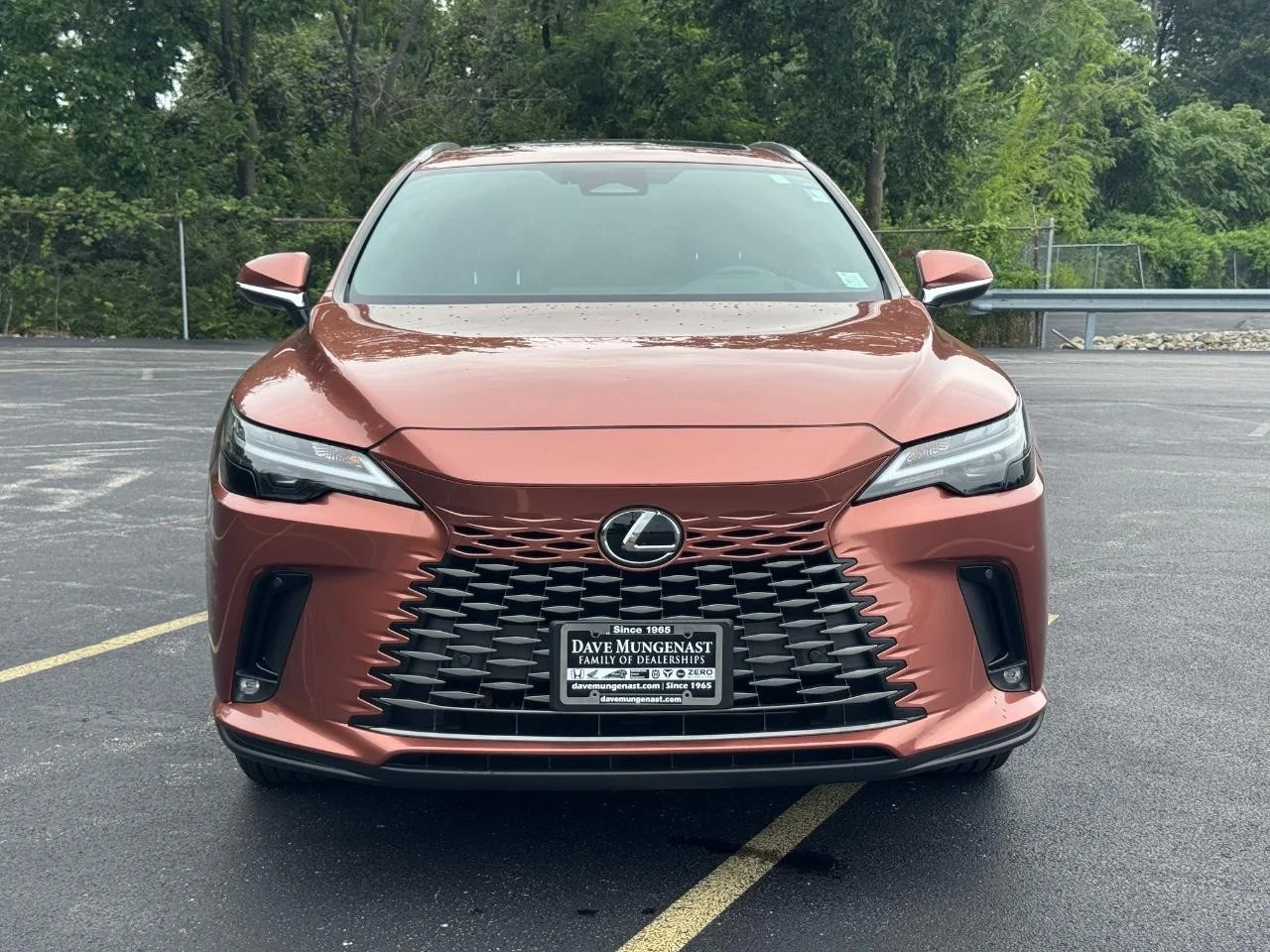 Used 2023 Copper Crest Lexus Premium image 10