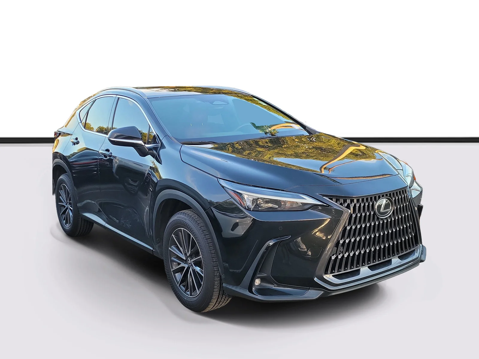 2025 Lexus NX