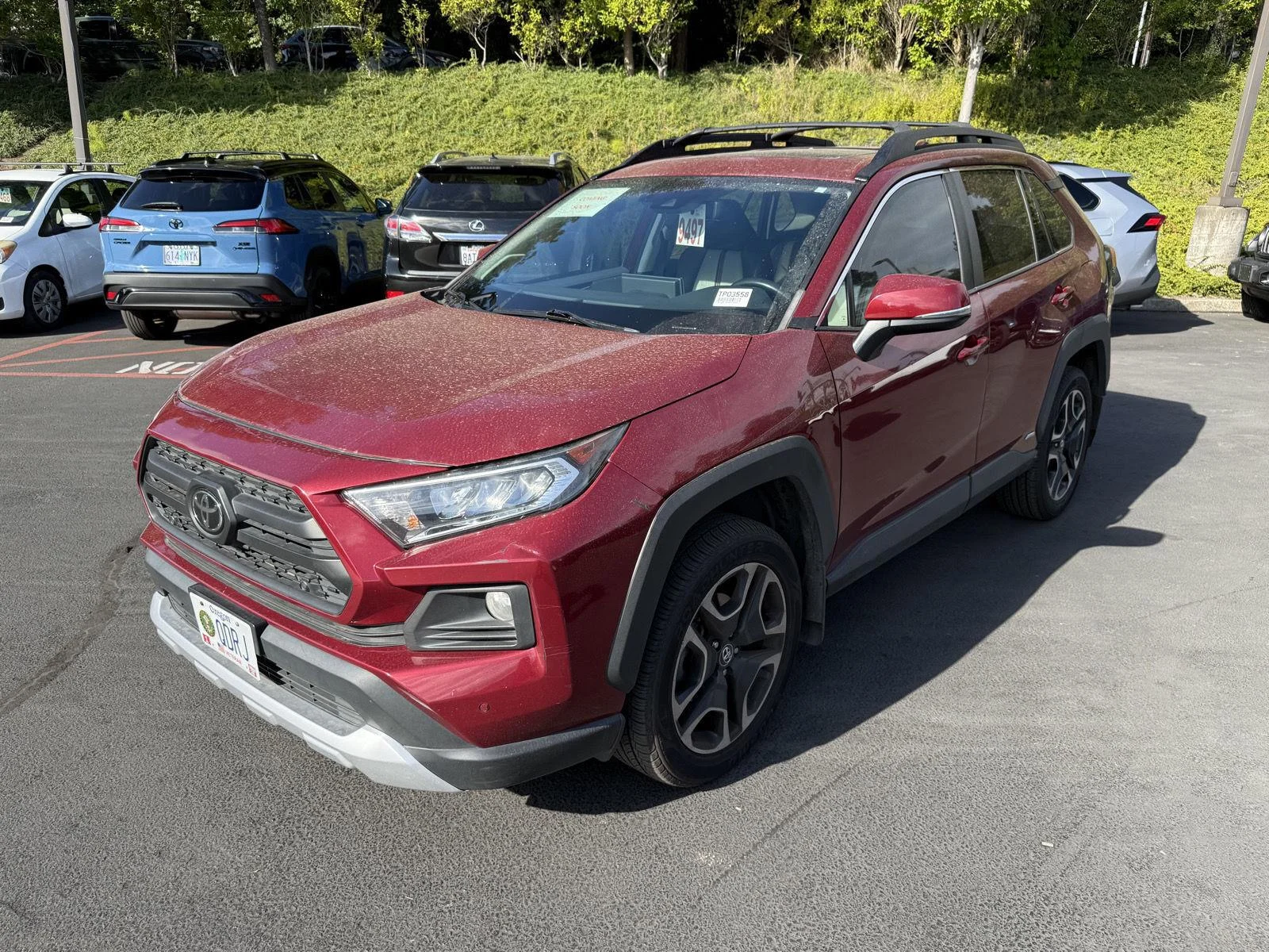 Used 2019 Ruby Flare Pearl Toyota Adventure image 1