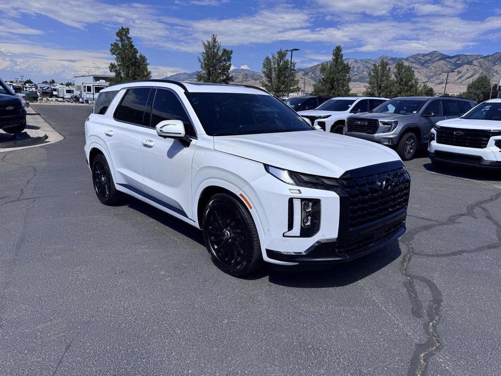 2025 Hyundai Palisade Calligraphy Night Edition - Photo 7