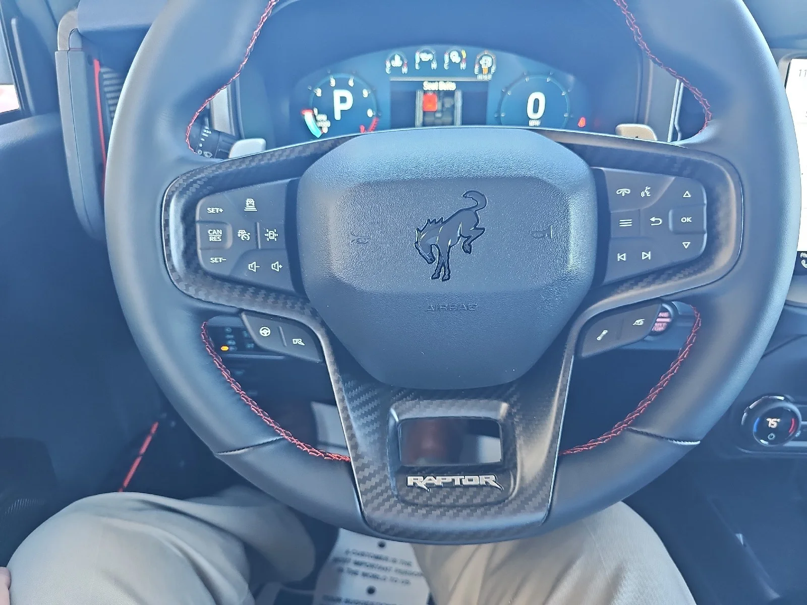 New 2025 Marsh Gray Ford Raptor® image 24