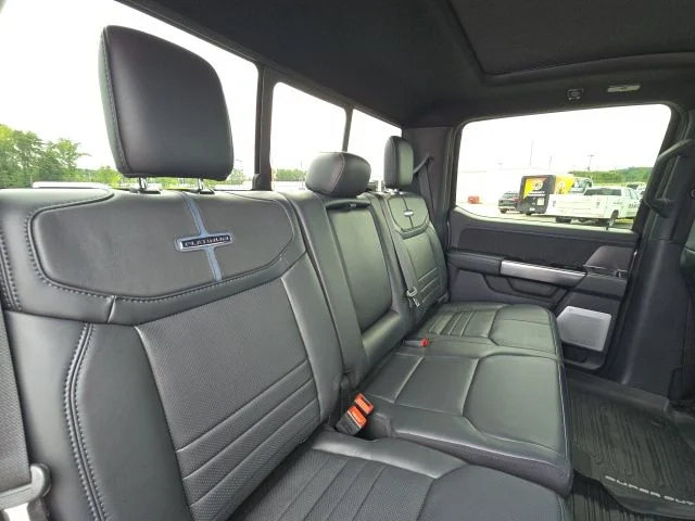 Used 2026 Gray Ford Platinum image 16