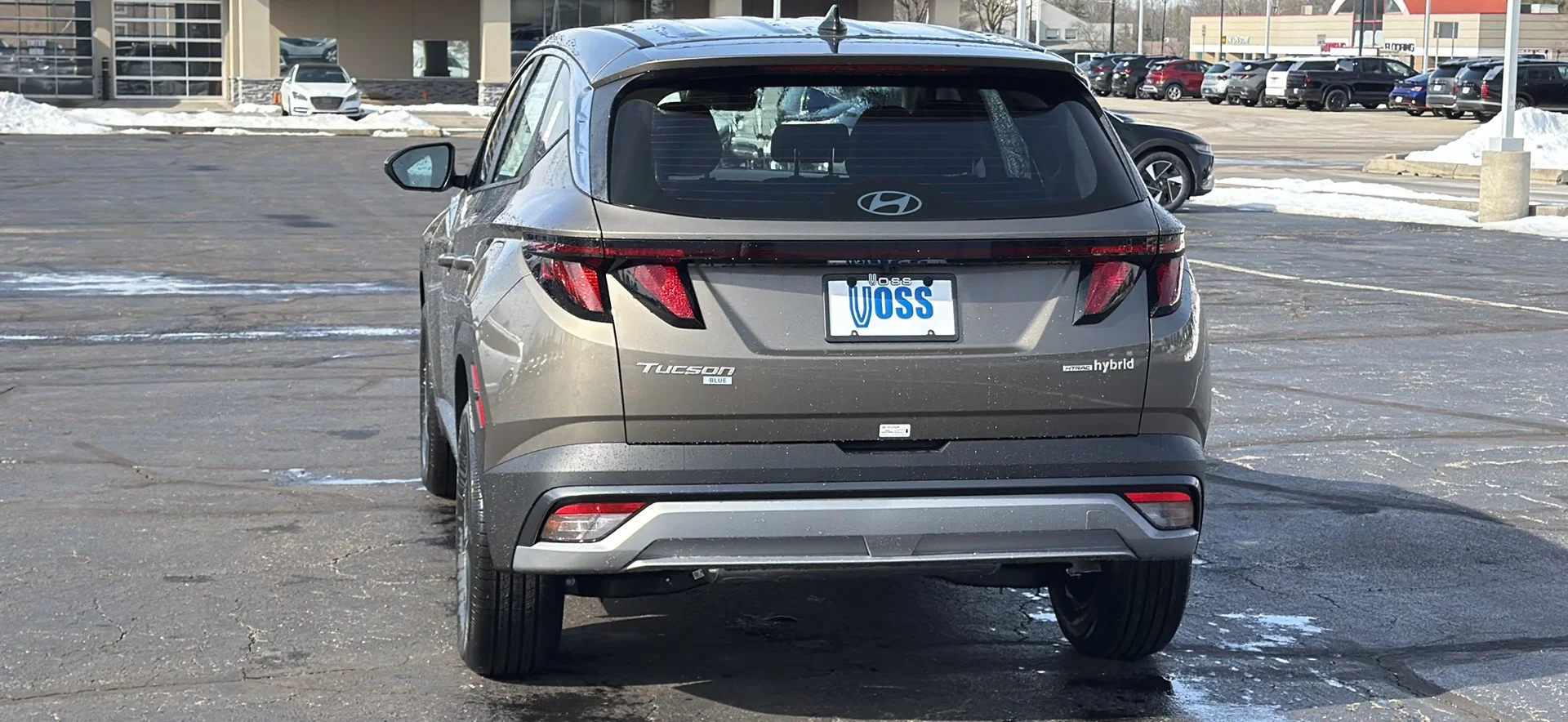 New 2026 Cashmere Bronze Hyundai Blue SE image 6