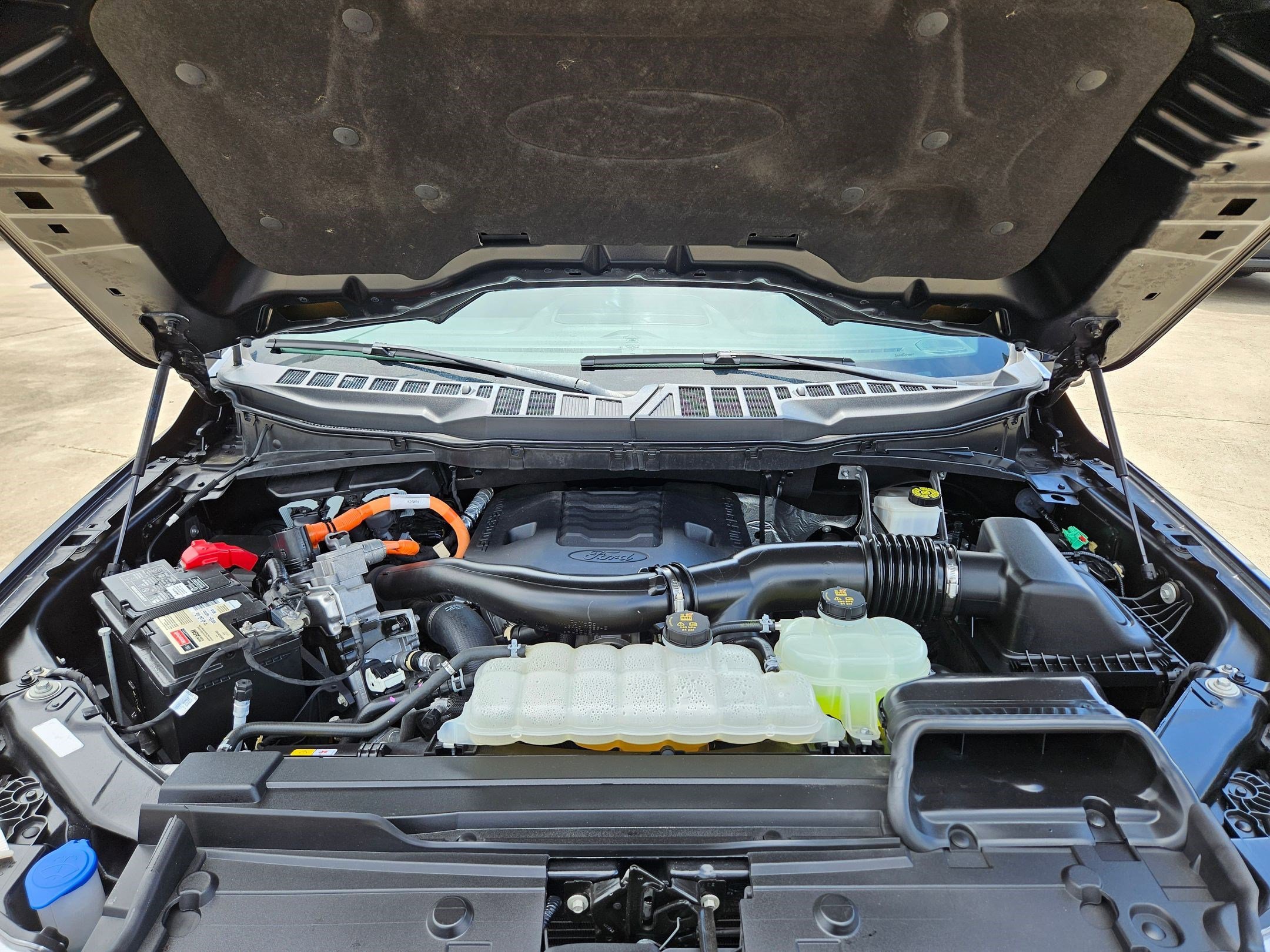Used 2023 Blue Ford Platinum image 32