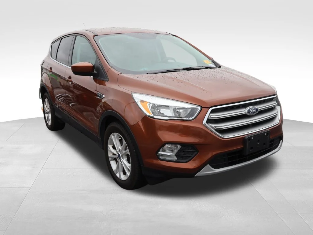 Used 2017 Canyon Ridge Metallic Ford SE image 12