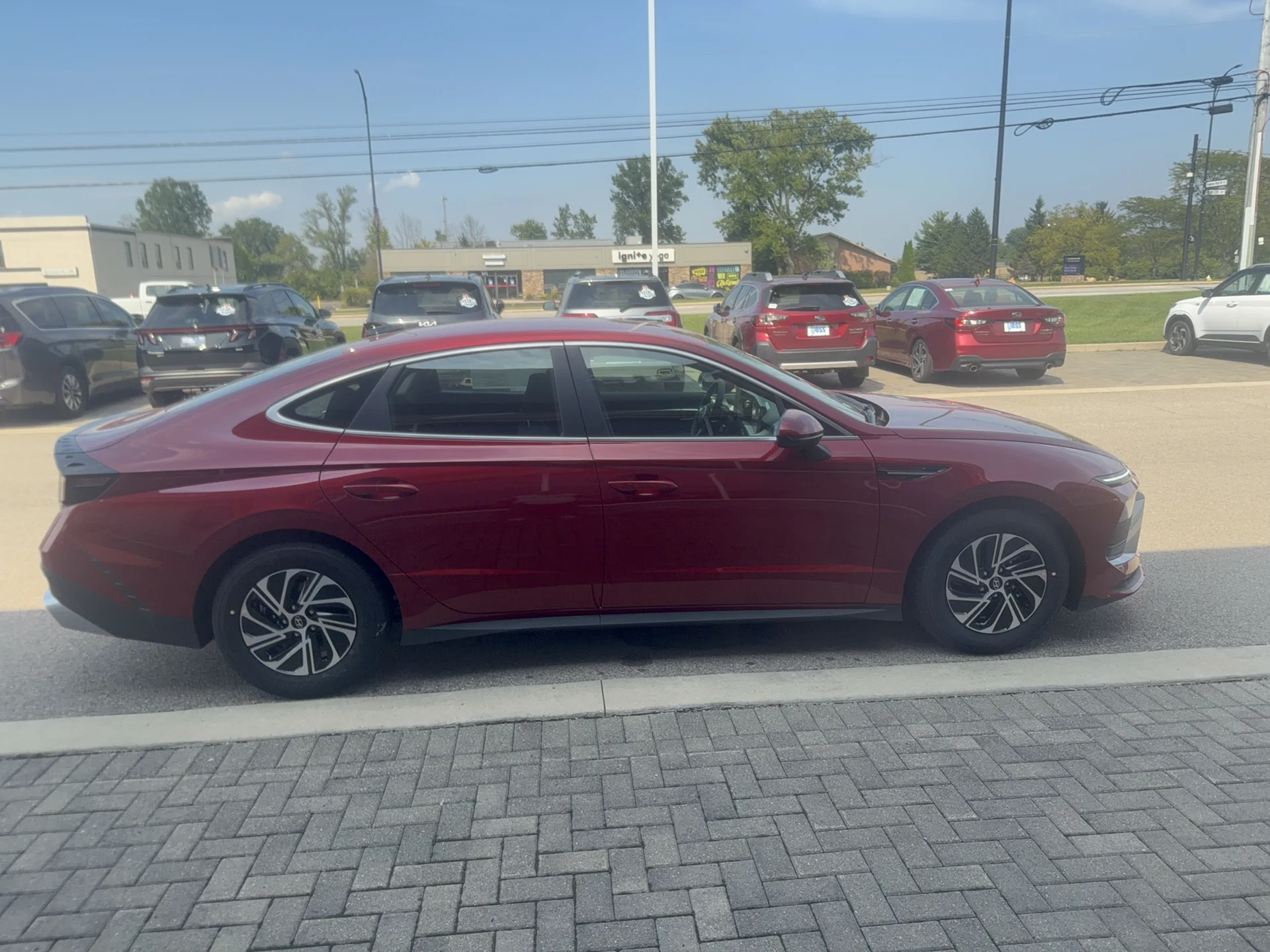 New 2026 Ultimate Red Metallic Hyundai Blue image 5