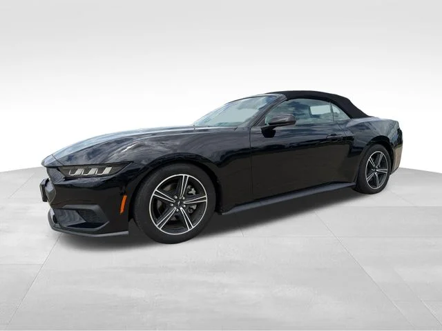 Used 2024 Black Ford EcoBoost Premium image 3
