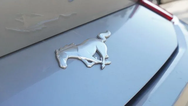 Used 2024 Silver Ford EcoBoost Premium image 12