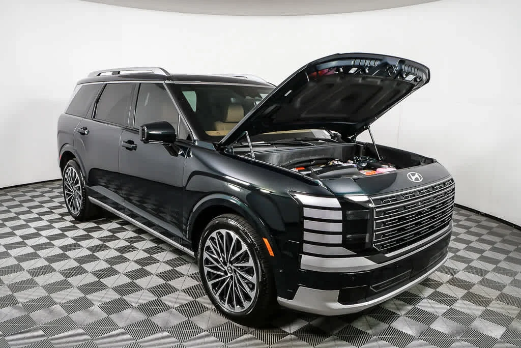 New 2026 Robust Emerald Pearl Hyundai Calligraphy image 10