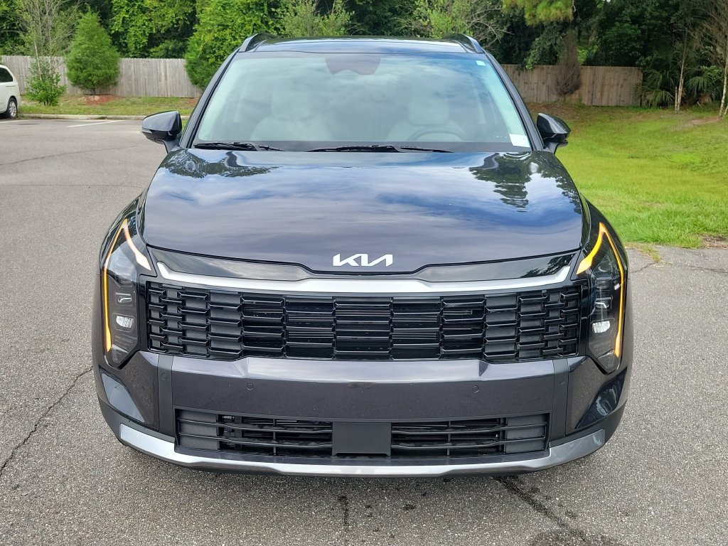New 2026 Panthera Metal Kia EX image 2