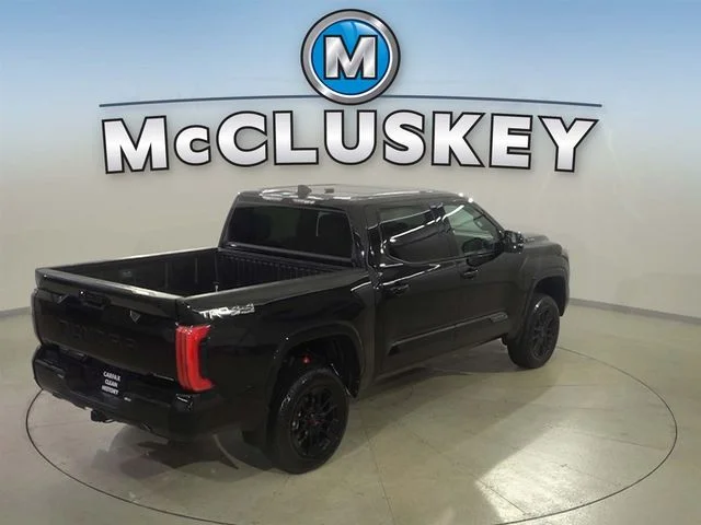Used 2025 Black Toyota Platinum image 30