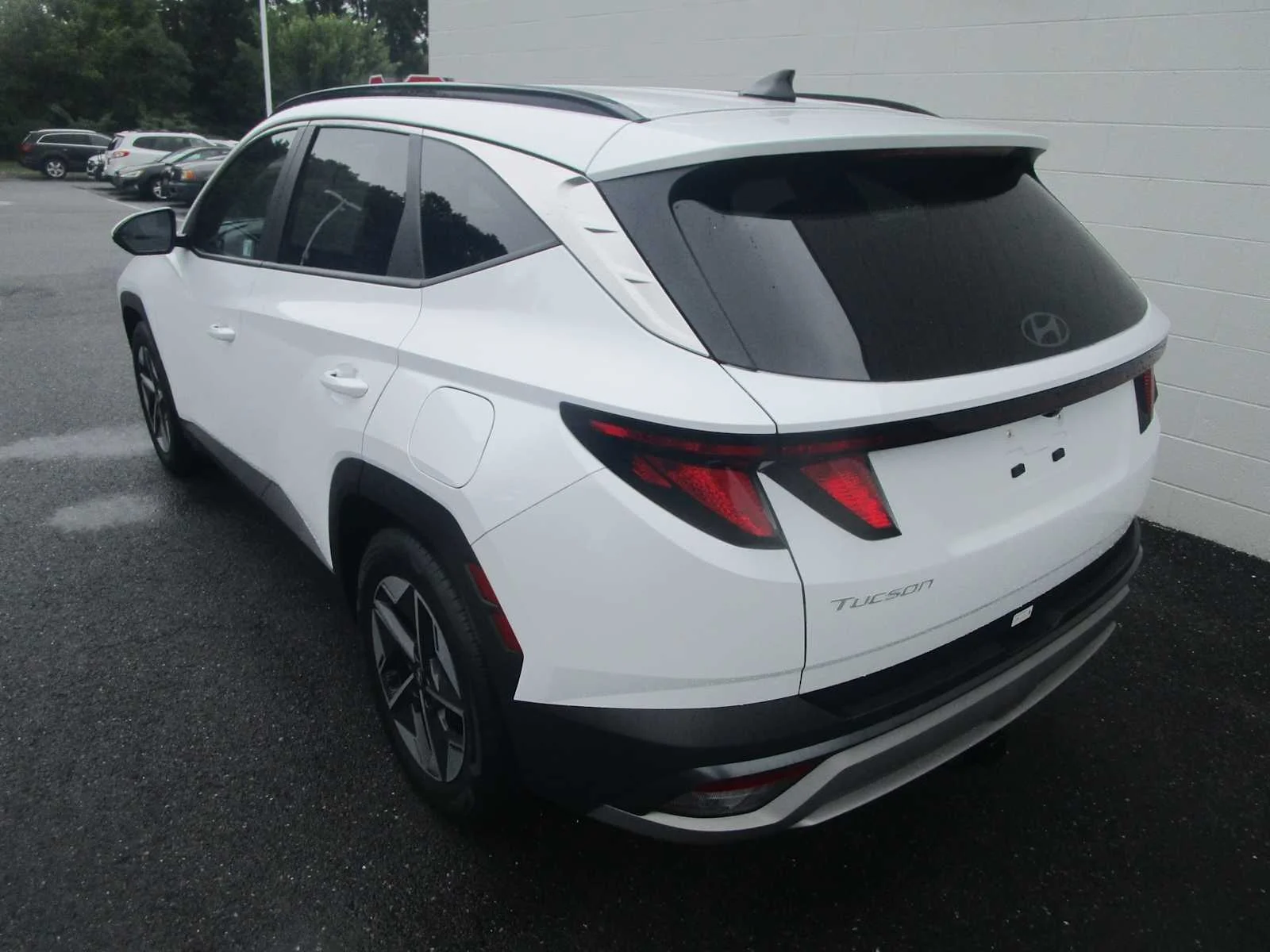 Used 2025 Serenity White Pearl Hyundai SEL image 6