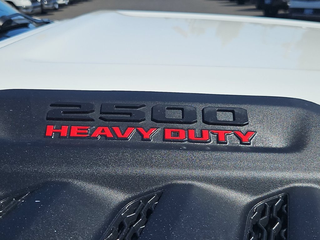 Used 2024 White Ram Rebel image 26