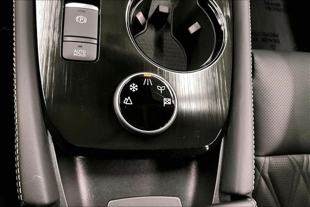 2025 Nissan Rogue Platinum - Photo 29