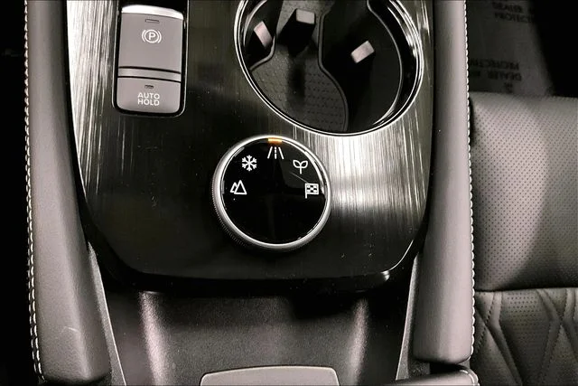 2025 Nissan Rogue Platinum - Photo 29