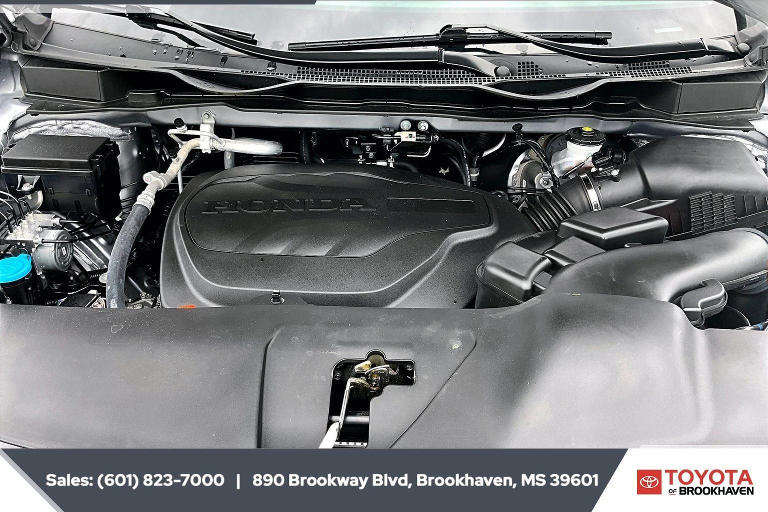 Used 2025 GRAY Honda EX-L image 8