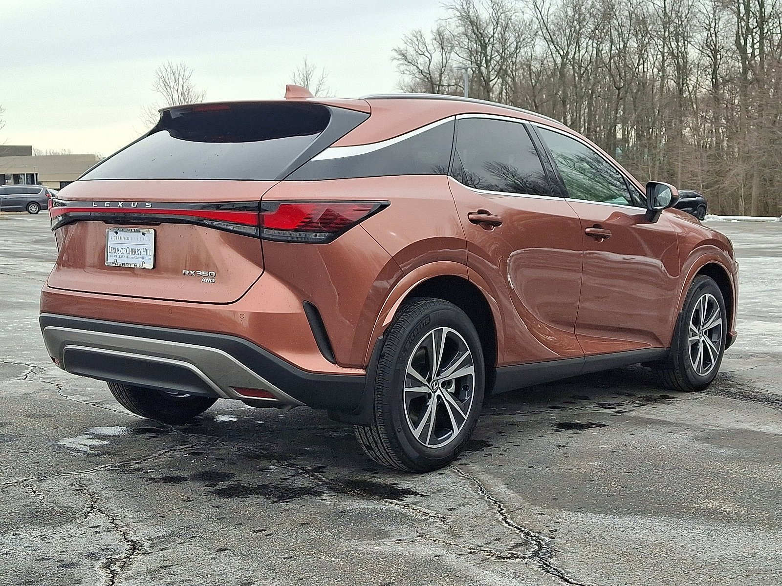 2025 Lexus RX 350 - Photo 6