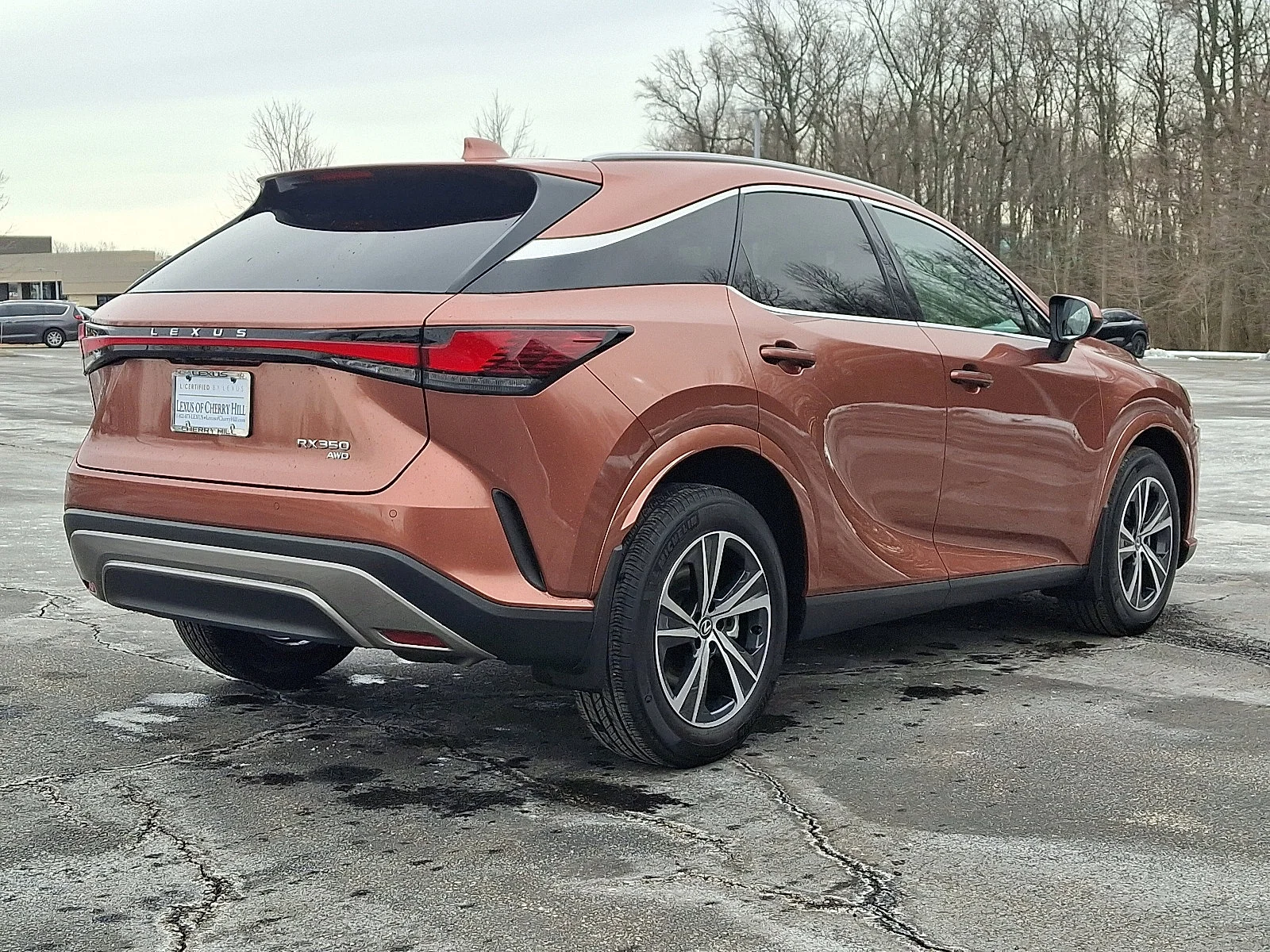 2025 Lexus RX 350 - Photo 6