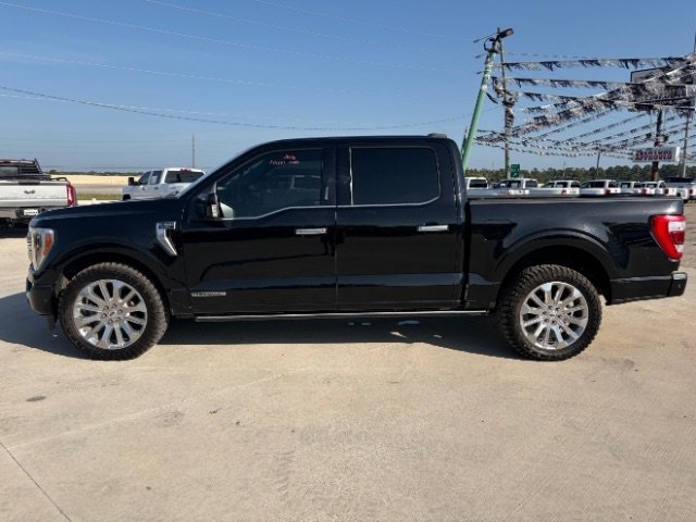 Used 2023 Black Ford Limited image 2