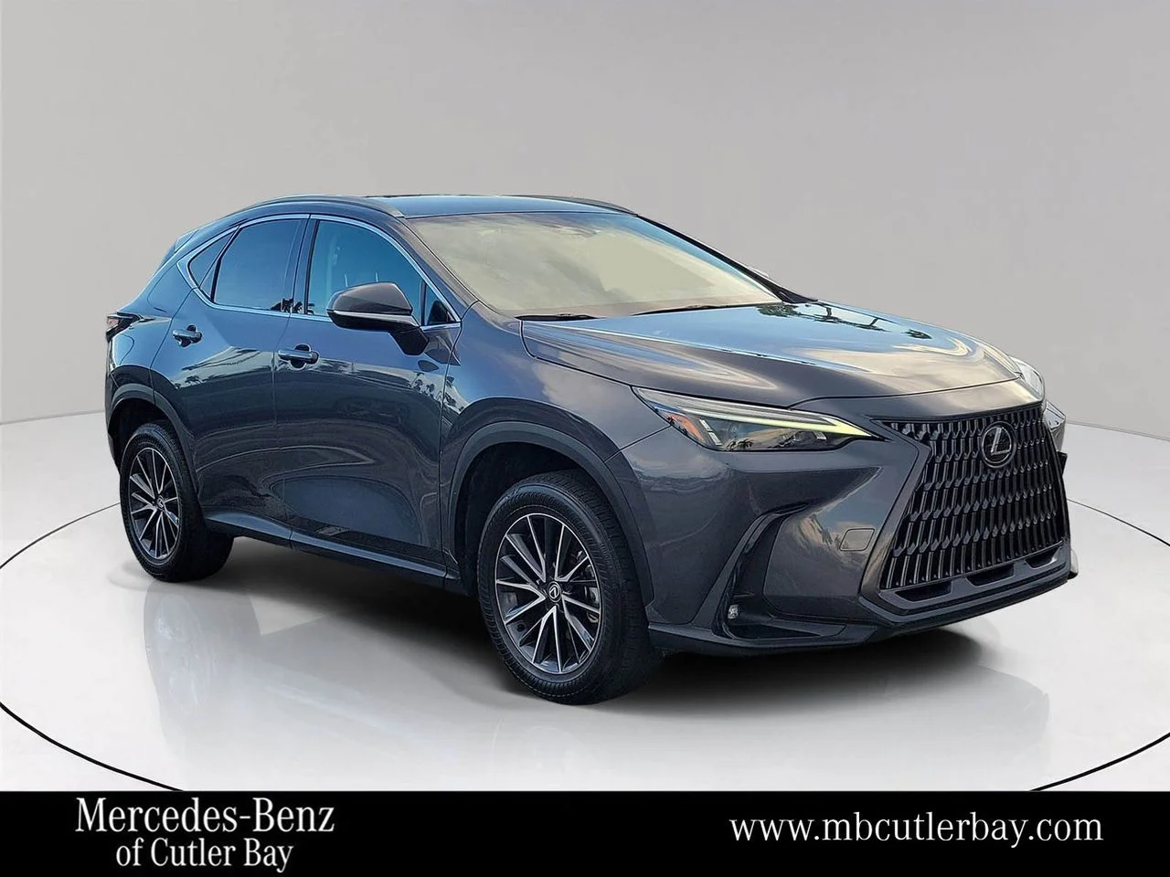 2024 Lexus NX