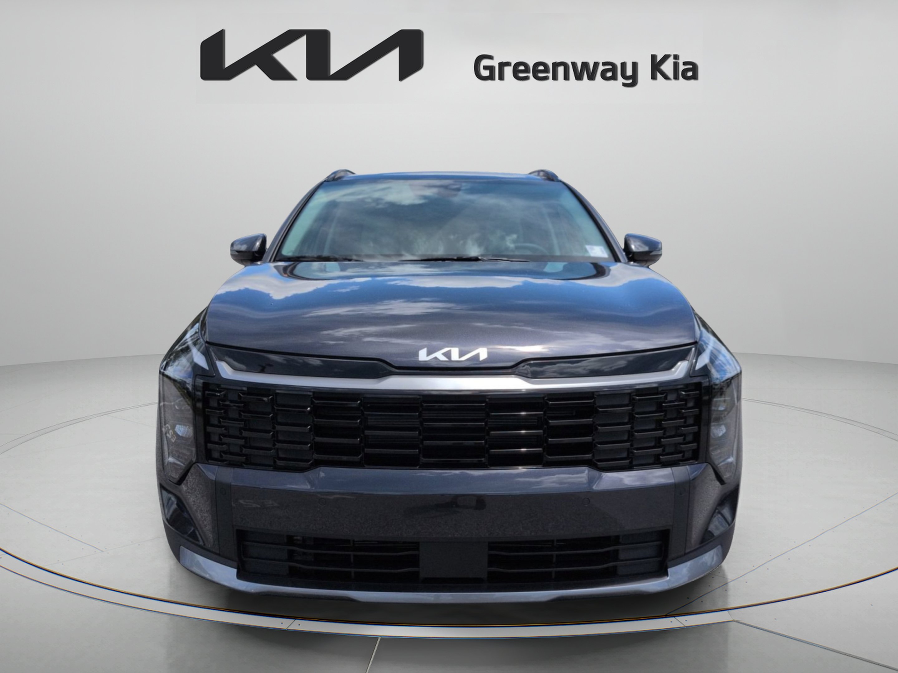 New 2026 Panthera Metal Gray Kia EX image 11