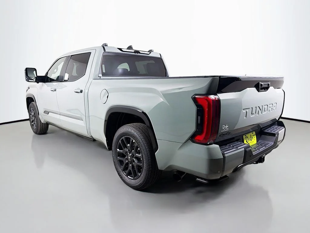 New 2026  Toyota Platinum image 7