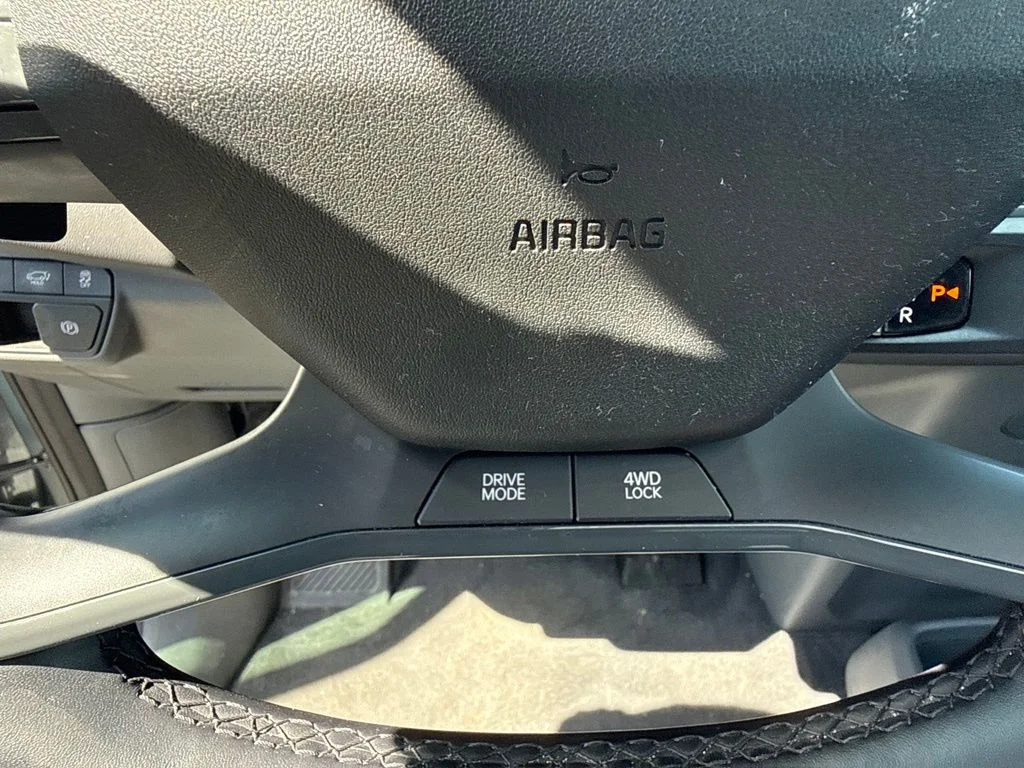 Used 2024 Iceberg Green Kia Wind image 13