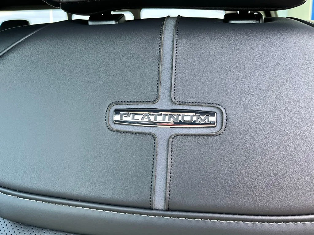 New 2026 Black Ford Platinum image 22