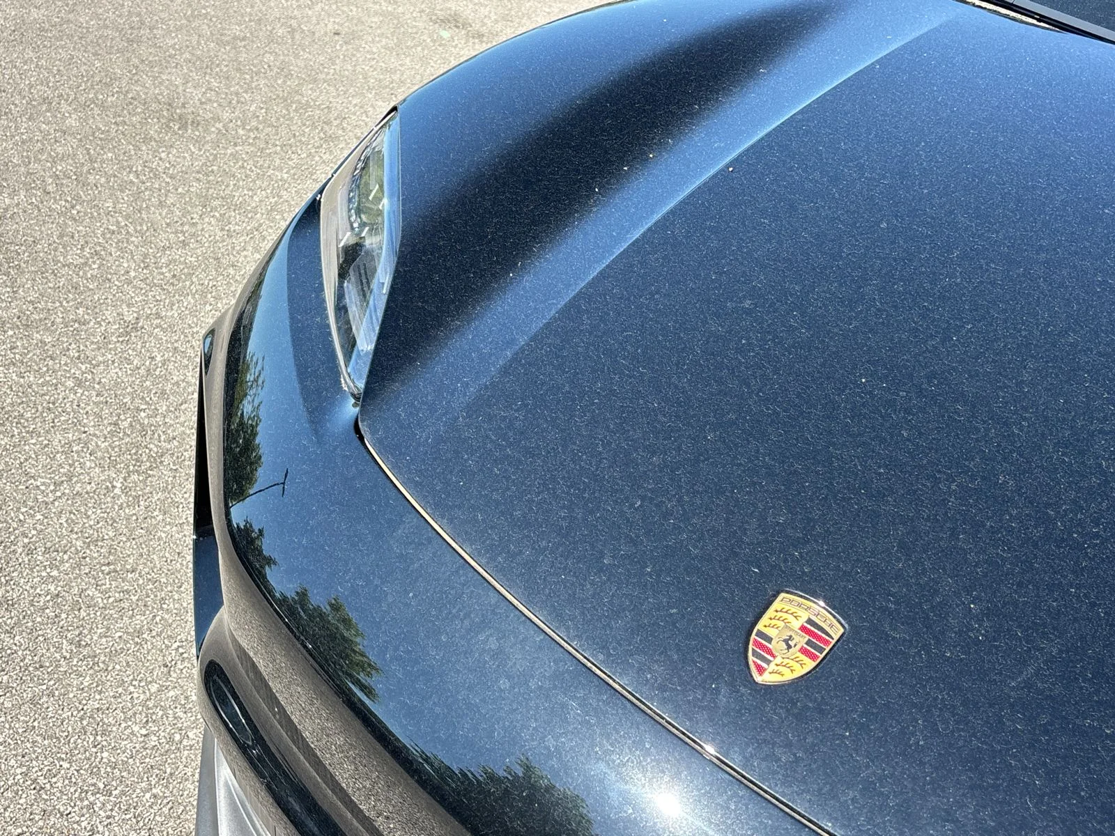 Used 2025 Black Porsche  image 12