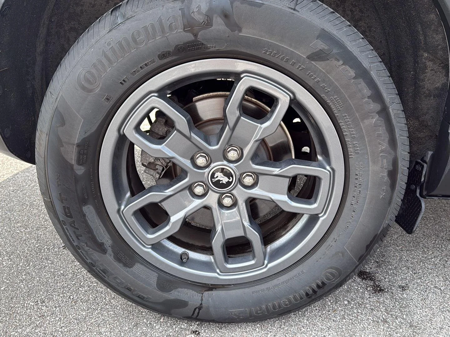 Used 2024 Cactus Gray Ford Big Bend image 13