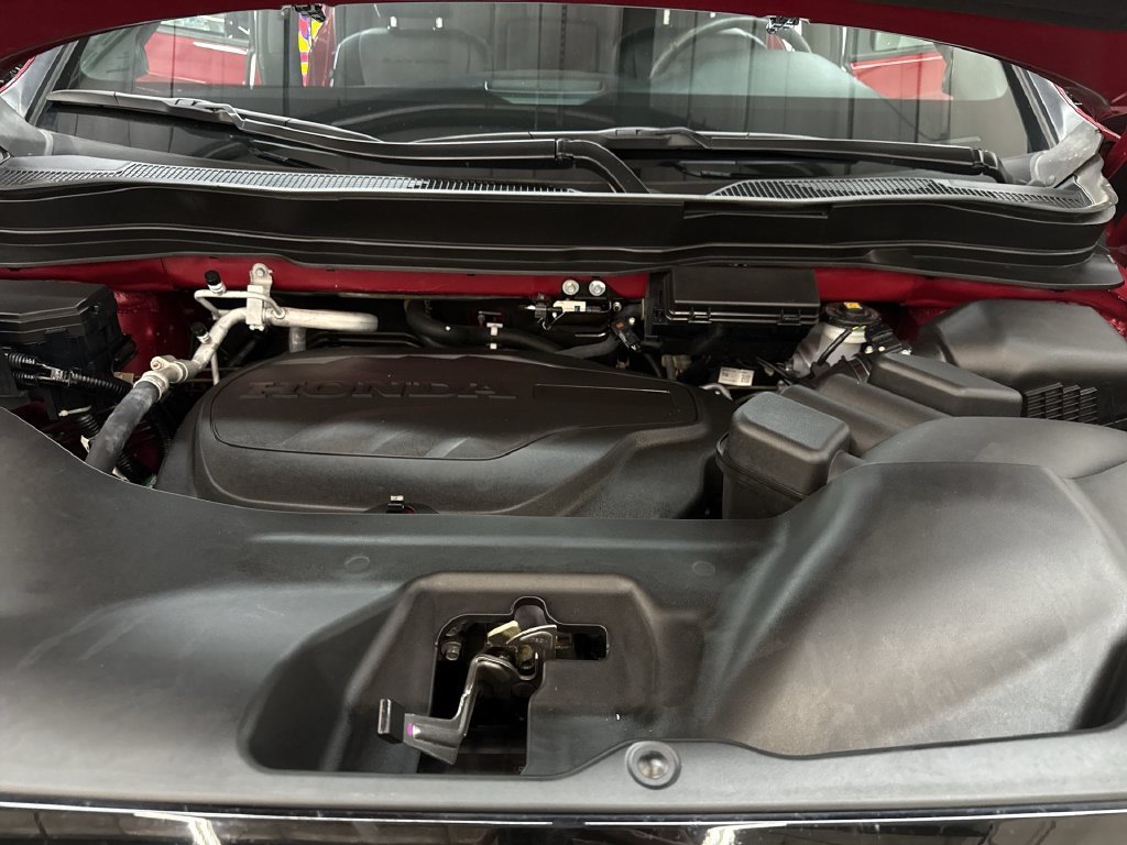 Used 2024 Red Honda Black Edition image 35