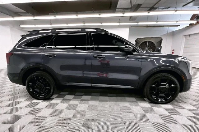 Used 2025 Panthera Metal Kia X-Line SX image 15