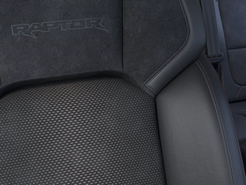 New 2026 Marsh Gray Ford Raptor image 18