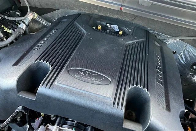 Used 2020 Red Ford Platinum image 33