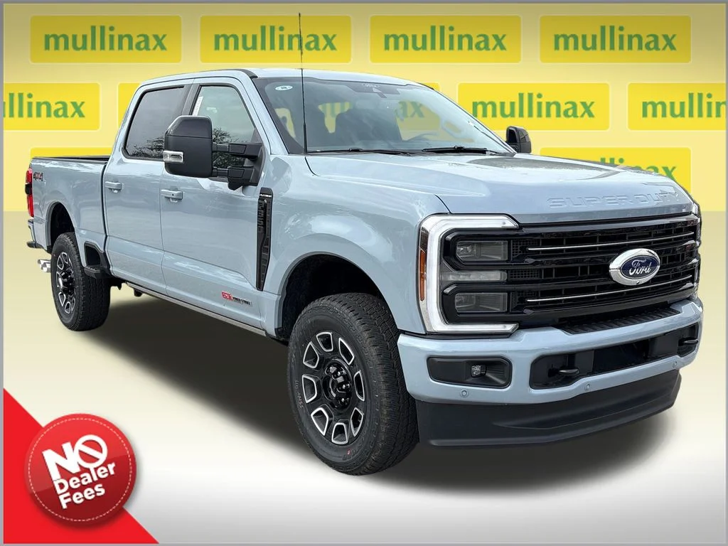 New 2026 Gray Ford Platinum image 1